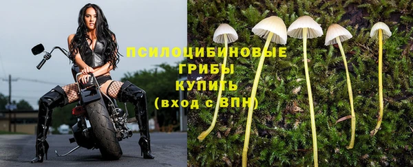 мяу мяу кристалл Армянск