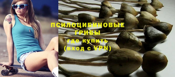 соль ск Аркадак