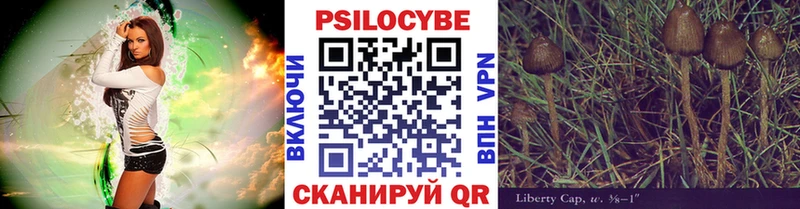 mega ссылки  купить наркоту  Кущёвская  Псилоцибиновые грибы GOLDEN TEACHER 
